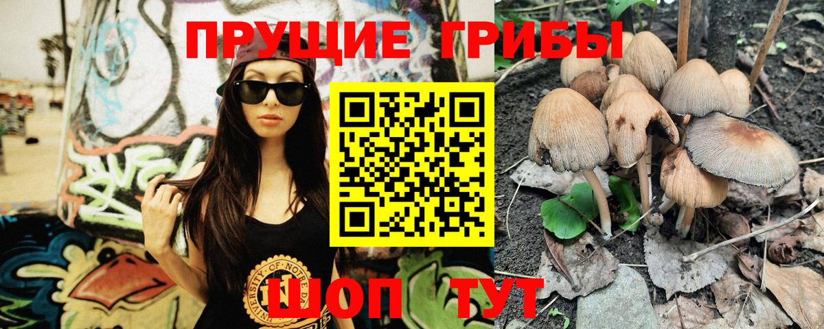 где купить наркотик  Вход с VPN  Белая Калитва  Галлюциногенные грибы MAGIC MUSHROOMS 